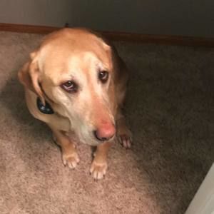 Meet your Posher, Hannah